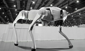 現実環境から宇宙空間のような再現困難な環境まで仮想空間に構築し、AIの学習・検証基盤として提供。Sim2Realによるロボットや自動化システムへの確実な適用を実現することで、開発効率と安全性を両立します。