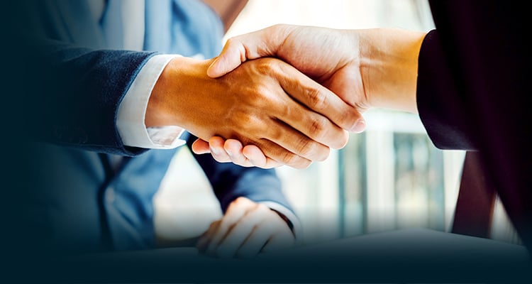 あいおいニッセイ同和損害保険／シリコンスタジオ